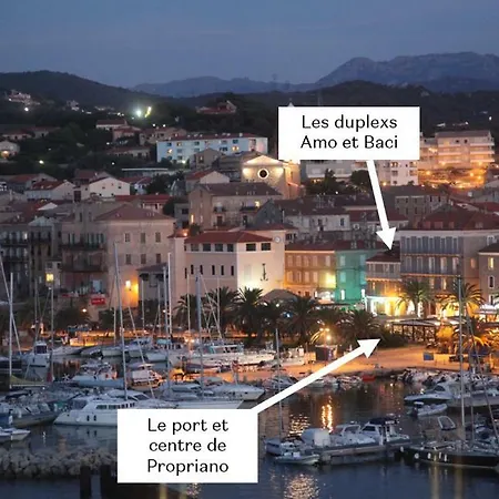 Apartment Duplex En Plein Centre *
