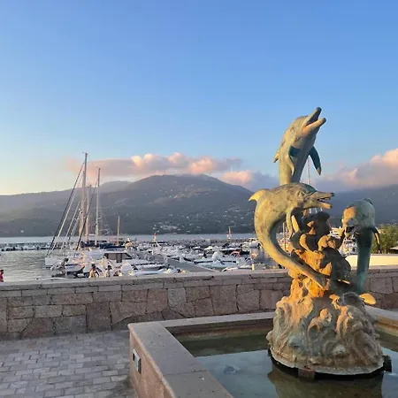 Duplex En Plein Centre