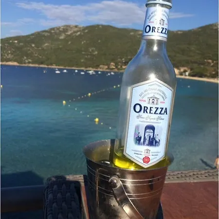 Duplex En Plein Centre Apartment *