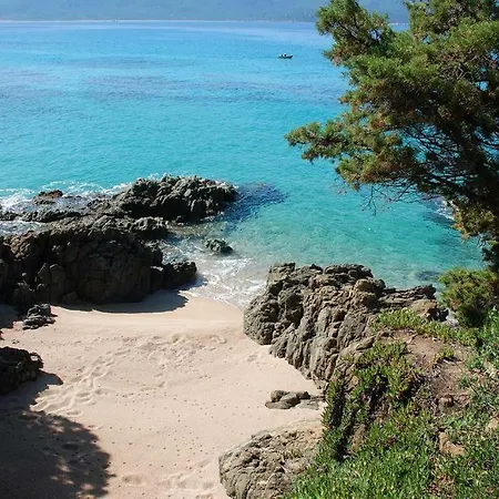 Duplex En Plein Centre