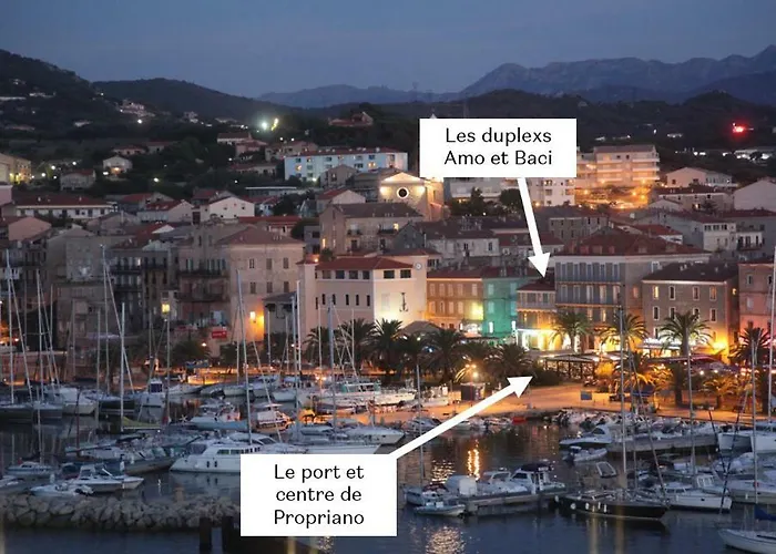 דירה Duplex En Plein Centre *