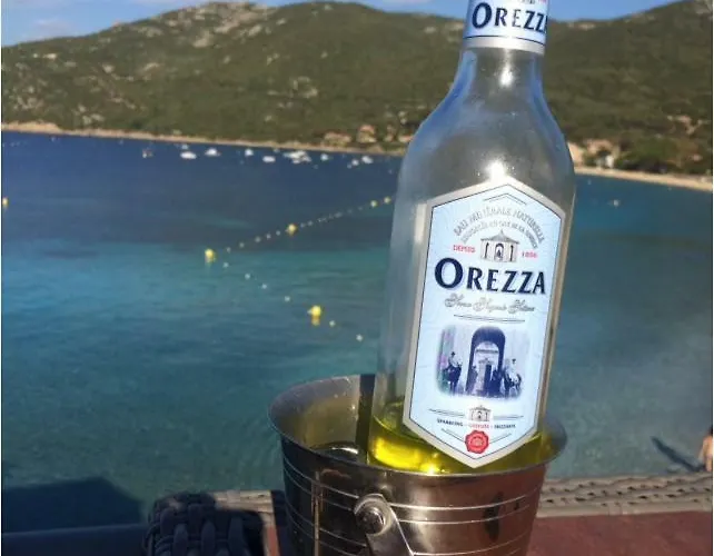 Duplex En Plein Centre דירה *