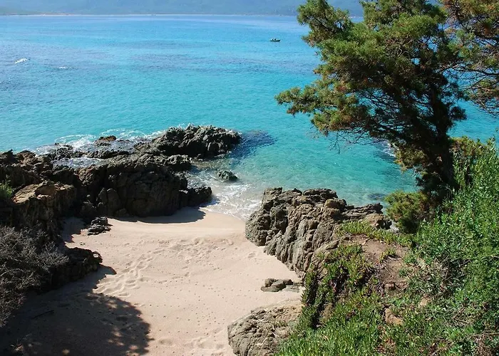 Duplex En Plein Centre